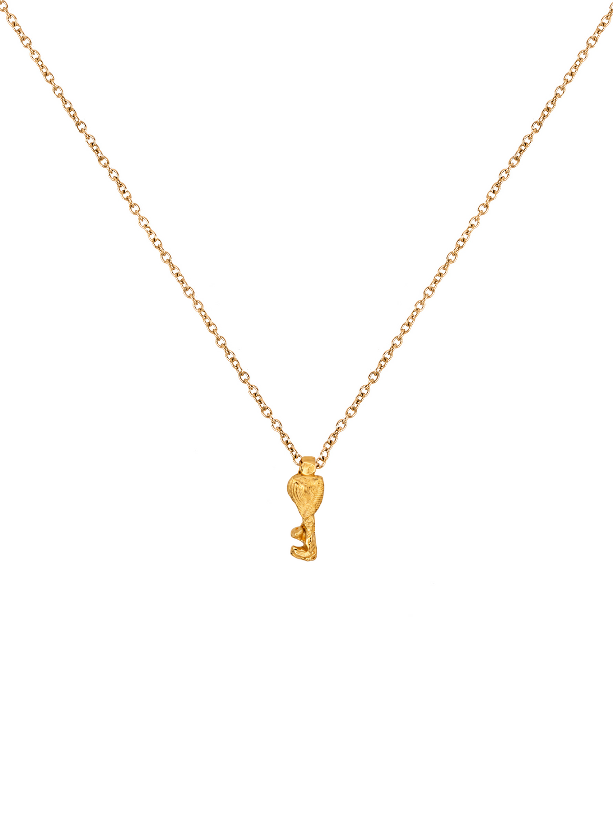 The Promise Necklace