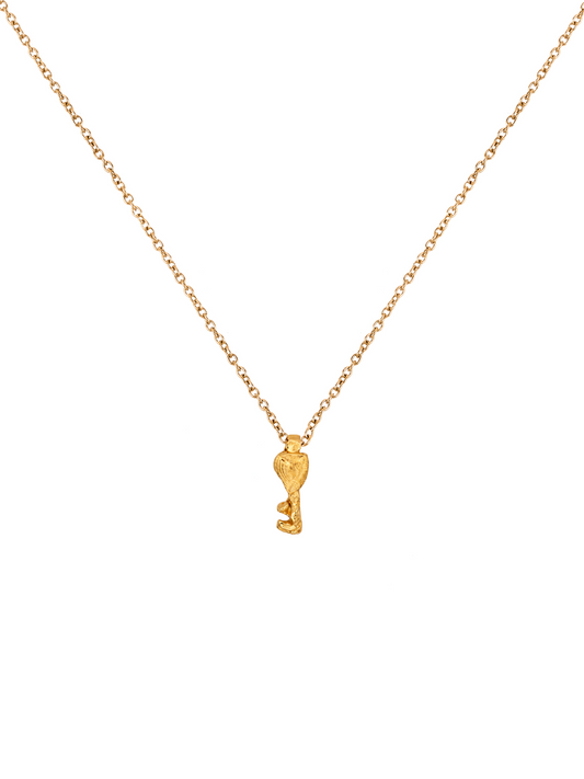 The Promise Necklace